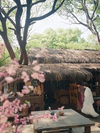 第6集 - 與君恨別離