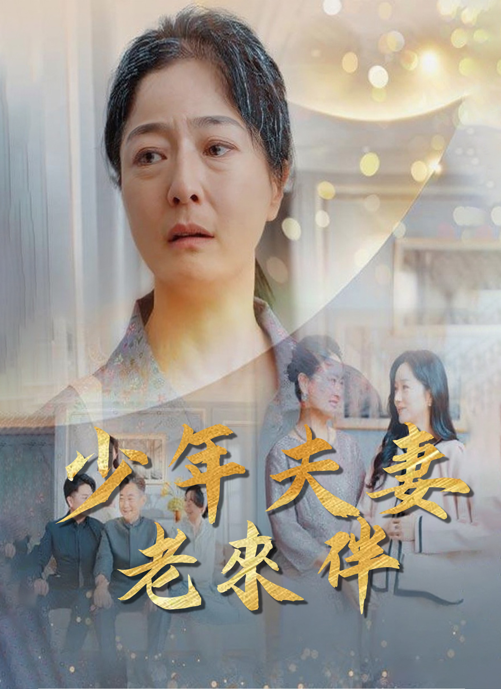 《少年夫妻老來伴》封面