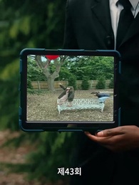 후회해도 늦었어, 전남편 - Episode 43