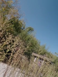 回到古代當富婆 - Episode 95