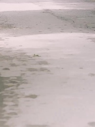 Against the Tide: A Youth Rewritten - Episode 54