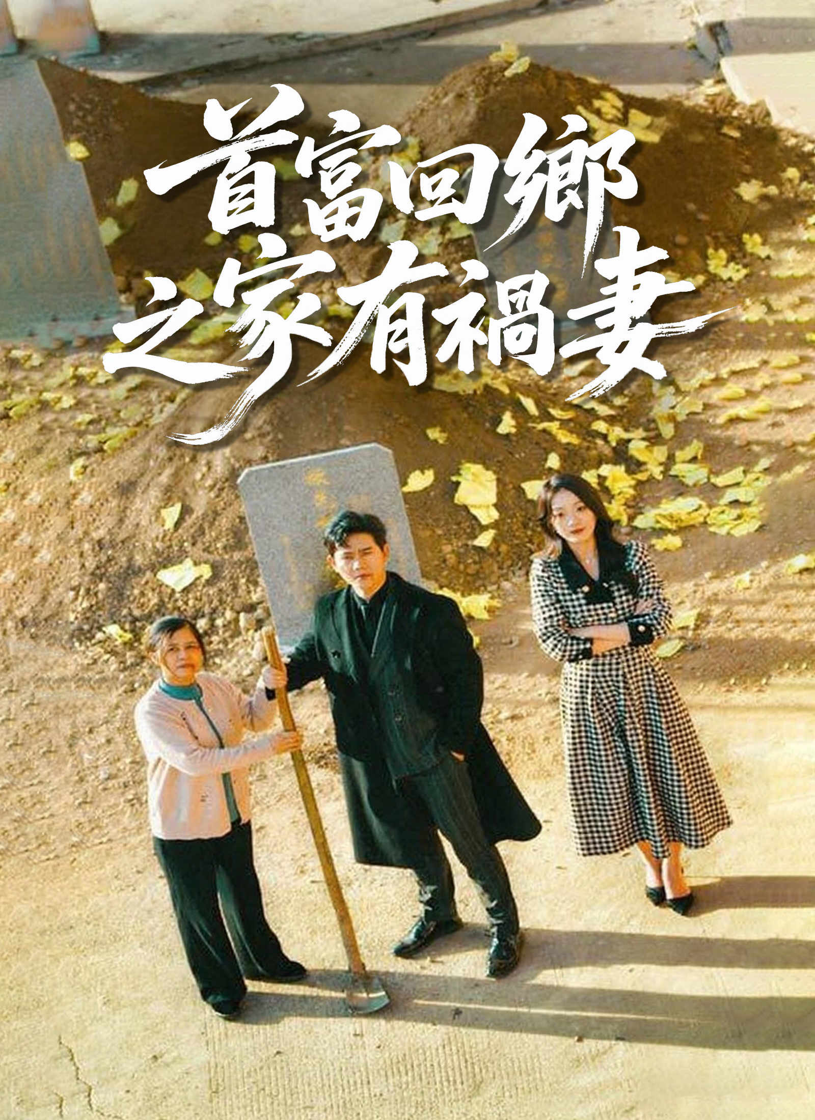 《首富回鄉之家有禍妻》封面