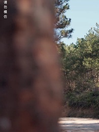 第3集 - 風禾盡起