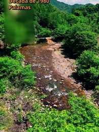 O Plano de Transformação Rural da Eva - Episode 1