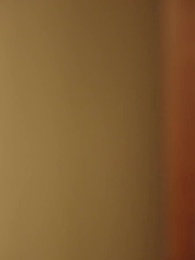 天醫神婿 - Episode 55