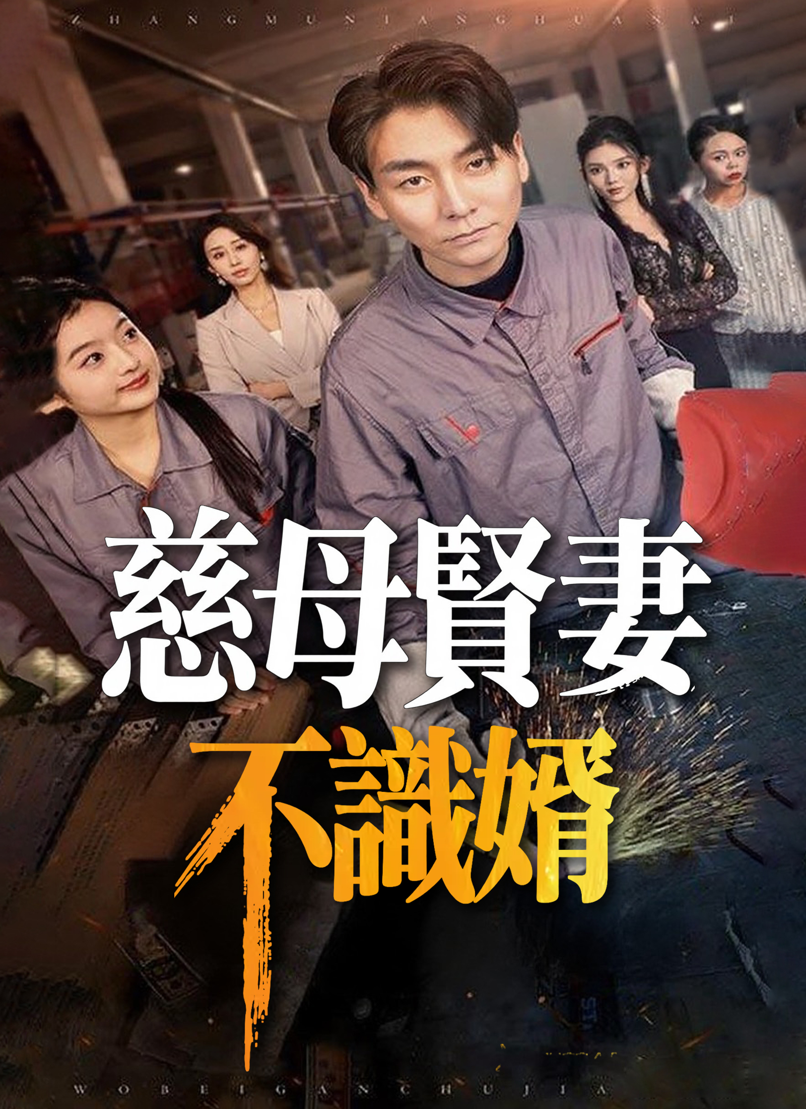 《慈母賢妻不識婿》封面