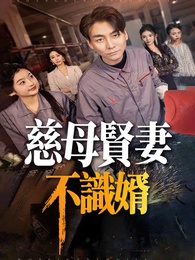 慈母賢妻不識婿