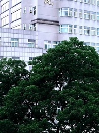 第6集 - 龍血戰神