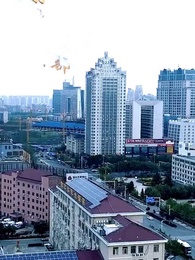 第39集 - 龍血戰神