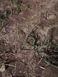 大魏第一神探 - Episode 22