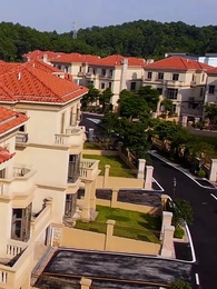 第92集 - 傭兵狂龍