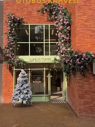 Eski Sevgilimin Amcasıyla Evlenmek - Episode 29