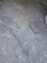 淨身出戶後我成了全球首富大小姐 - Episode 2