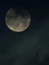 第70集 - 重生1984當首富