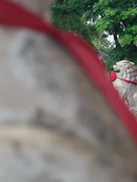 Strangers When We Meet Again - Episode 14