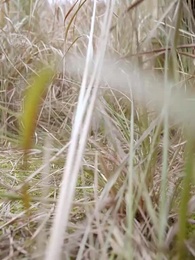 傭兵狂龍 - Episode 1