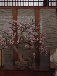 第46集 - 穿越回古代當反派