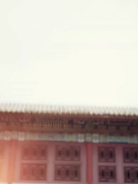 Episode 43 - Moonlight on the Palace Road