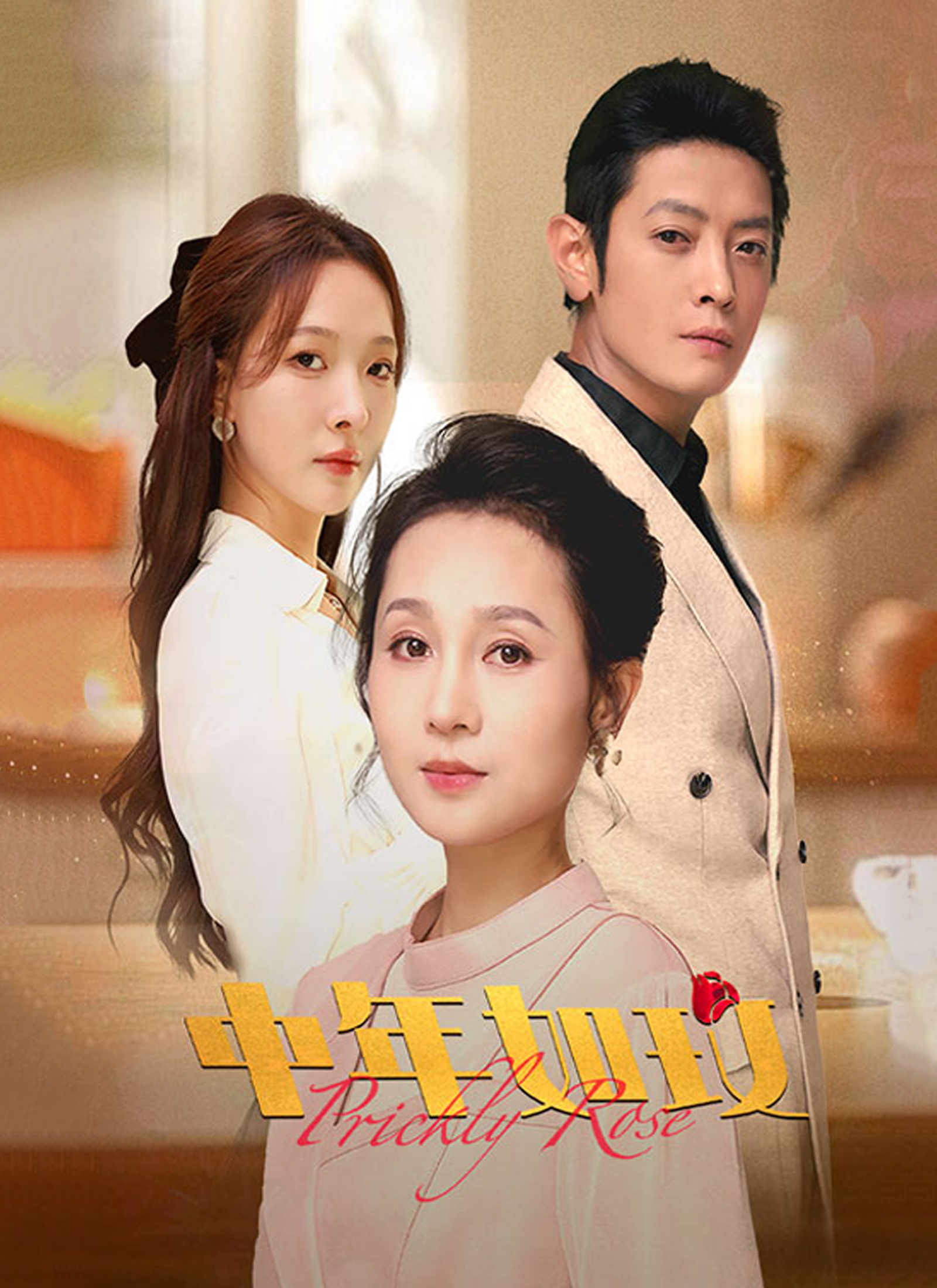 《中年如玫》封面