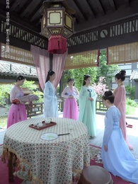 第51集 - 無可奈何花落去