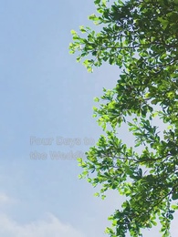 Episode 8 - Moonlight on the Palace Road