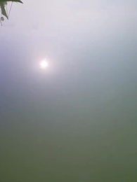 生贄少女は龍の花嫁となった - Episode 64