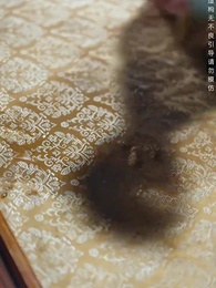 第27集 - 絕代天子萬年臣