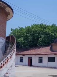 第59集 - 重生1984當首富