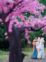 第37集 - 太子殿下輕點寵