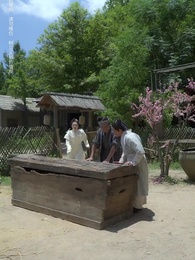 第43集 - 無可奈何花落去