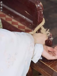 第20集 - 太子他又被人害了