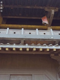 第29集 - 太子他又被人害了