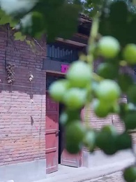 第38集 - 重生1984當首富