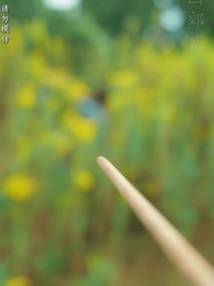 第80集 - 太子他又被人害了