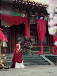 Moonlight on the Palace Road - Episode 40