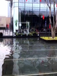 第72集 - 龍血戰神