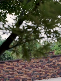 送錯外賣，頂流天後非我不嫁 - Episode 12