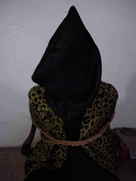 第49集 - 傭兵狂龍