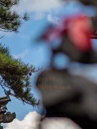 Moonlight on the Palace Road - Episode 10