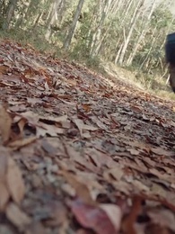 金鑾殿上念母恩 - Episode 60