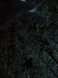 第1集 - 荒島驚魂