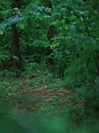 荒島驚魂 - Episode 28