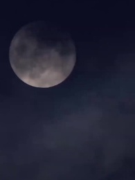 第40集 - 重生1984當首富