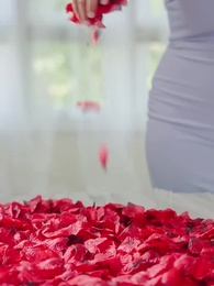 Bölüm 1 - İlk Görüşte Aşk