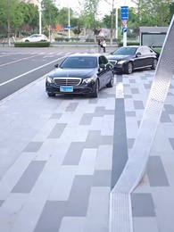 Mãe de Sangue Falso - Episode 25