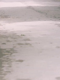 人生二回目 - Episode 54