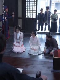 第9集 - 無可奈何花落去