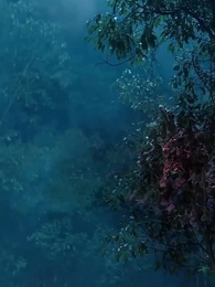 [Synchron]Dunkler Lord - Episode 7