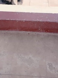 第27集 - 世子殿下的心尖寵