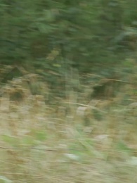 我和美女上司的荒島生涯 - Episode 30